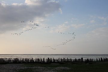 Oude houten golfbrekers bij Moddergat met vogels in V-formatie van Anne Wil Stegeman