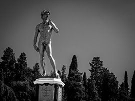 Unerschütterlich ruhig von Gewoon ROOS