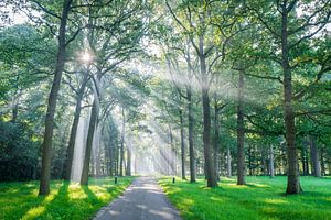 Landgoed Ampsen