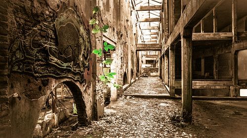 Das alte Ziegelwerk Teil 4