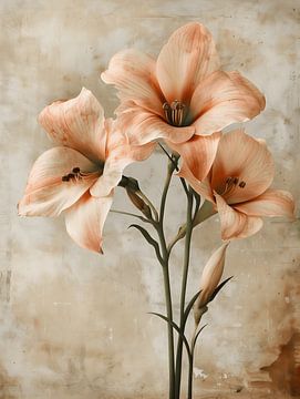 The Lily by Gypsy Galleria