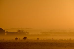 Sonnenaufgang II