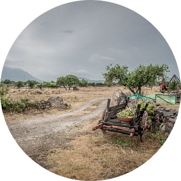 oude kar bij boerderij van Lex Scholten