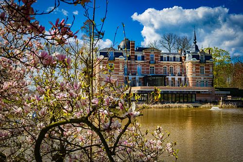 Brasschaat Schloss mit Blüte