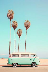 Van in Venice Beach