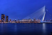 The Erasmus Bridge during the blue hour