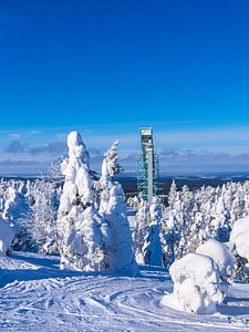Landschaft mit Schnee im Winter in Ruka, Finnland