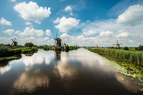 Kinderdijk Windmolens