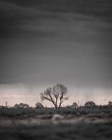 Einsamer Frieden: 'Die Verbindung mit der Natur'.