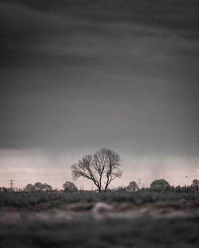 Lonely peace: 'The connection with nature'.