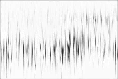 Het eerste riet in het voorjaar