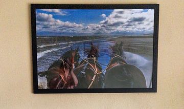Klantfoto: Terschelling, rust, strand, zee en, paarden! van Annette van Dijk-Leek