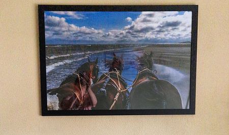 Terschelling, rust, strand, zee en, paarden!