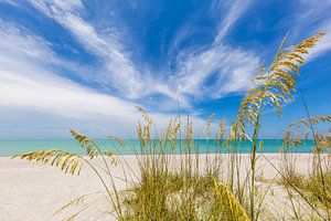 Heavenly calmness on the beach