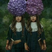 Vintage Beauty Tweeling Hortensia