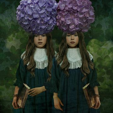 Vintage Beauty Tweeling Hortensia van Yvonne Zeldenthuis