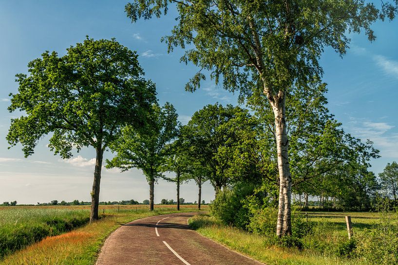 Klinkerweg par rosstek ®