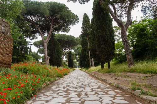 Via Appia Antica 03