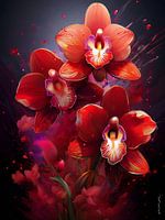 Wilde orchideeën