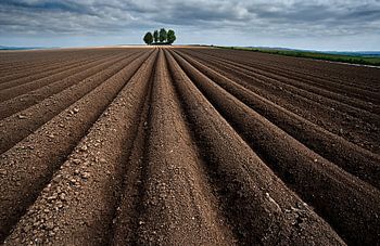 La ligne droite morte