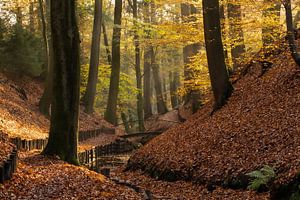 Herbst von Rob Willemsen photography