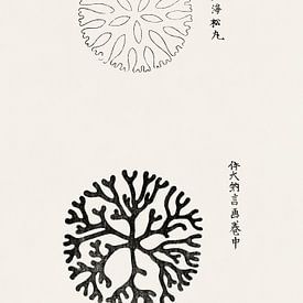 Art japonais. Gravure sur bois ukiyo-e vintage de Tagauchi Tomoki no. 15 sur Dina Dankers