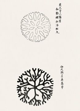 Japanse kunst. Vintage ukiyo-e woodblock print door Tagauchi Tomoki no. 15 van Dina Dankers