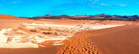 Tracks in den roten Sand des Deadvlei Sossusvlei, Namibia von Rietje Bulthuis Miniaturansicht