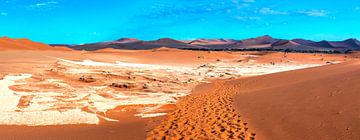 Sporen in het rode zand van de Sossusvlei naar de Deadvlei, Namibië van Rietje Bulthuis