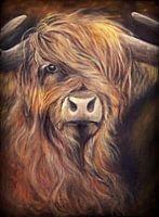Scottish highlander with oil on canvas...