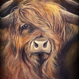 Scottish highlander with oil on canvas... by Els Fonteine