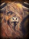 Schotse hooglander met olieverf op canvas... van Els Fonteine thumbnail
