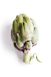 Artischocke Gemüse in grün und violett Italien mediterran Gourmetküche von Julia Strube - graphics