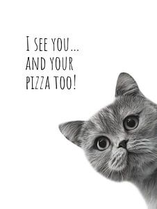Cool Cat - Pizza Hungry