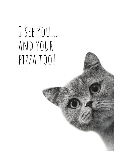 Coole Katze - Pizzahunger von Melanie Viola