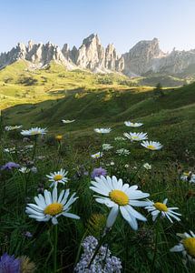 Couchers de soleil magiques dans les Dolomites - un spectacle de la nature.