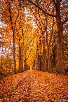 Herbst 2022