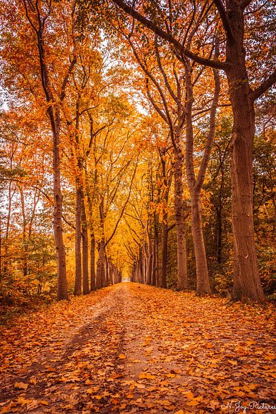 Herbst 2022 von N-Joy Pictures