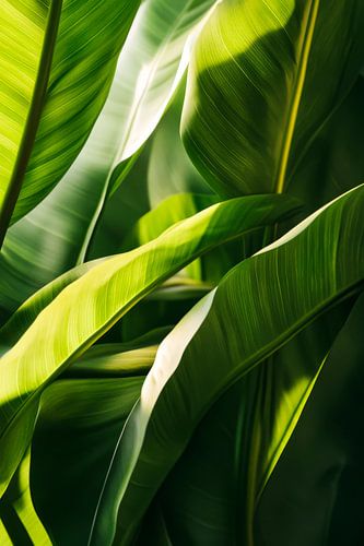 Groene bladeren