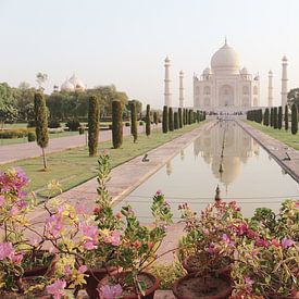 Taj Mahal van Your Travel Reporter