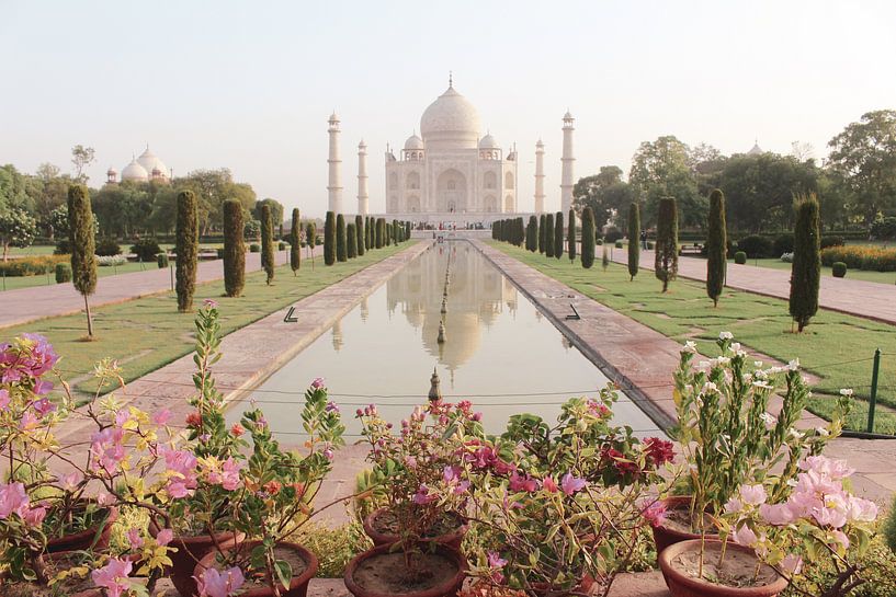 Taj Mahal van Your Travel Reporter
