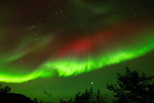Noorderlicht Aurora borealis IJsland