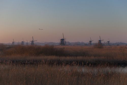 Kinderdijk 12
