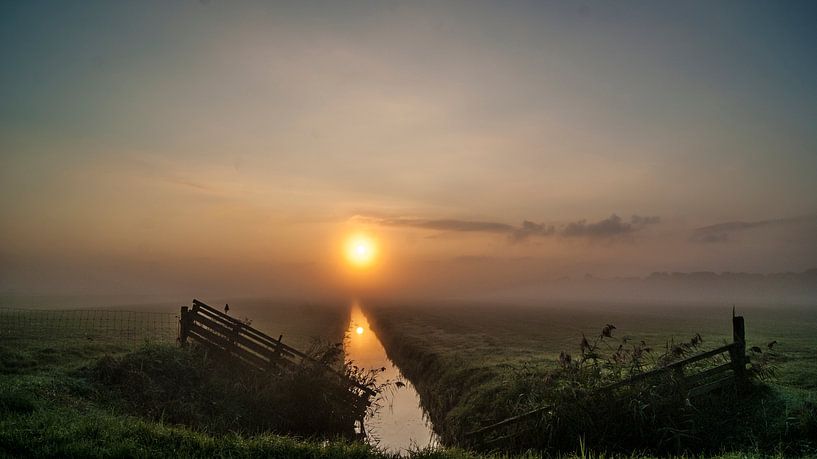 The morning  ditch by Sparkle King