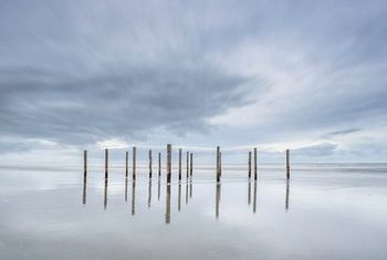 Polen am Strand von Schiermonnikoog 