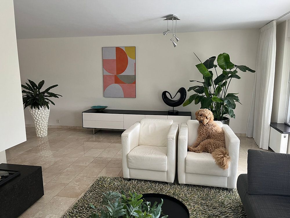 géométrie abstraite 3 par Ana Rut Bre