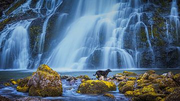 Gollinger Wasserfall von Henk Meijer Photography