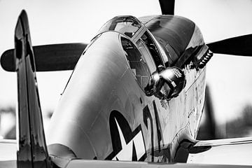 Tuskegee Airmen North American P-51C Mustang. by Jaap van den Berg