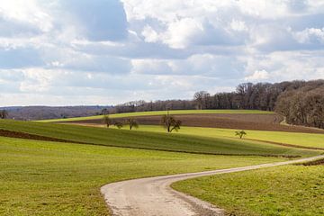 Idyllisch landbouwlandschap in het vroege voorjaar van Achim Prill