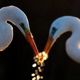 Love (gezien bij vtwonen) van Marc Costermans